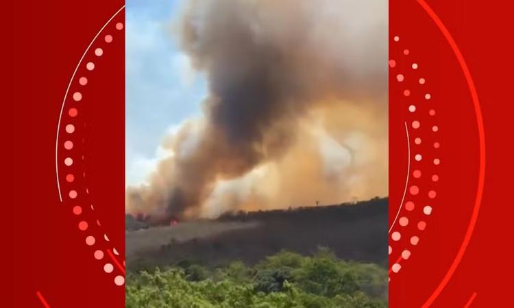 Incêndio de grandes proporções atinge área de vegetação na Bahia
