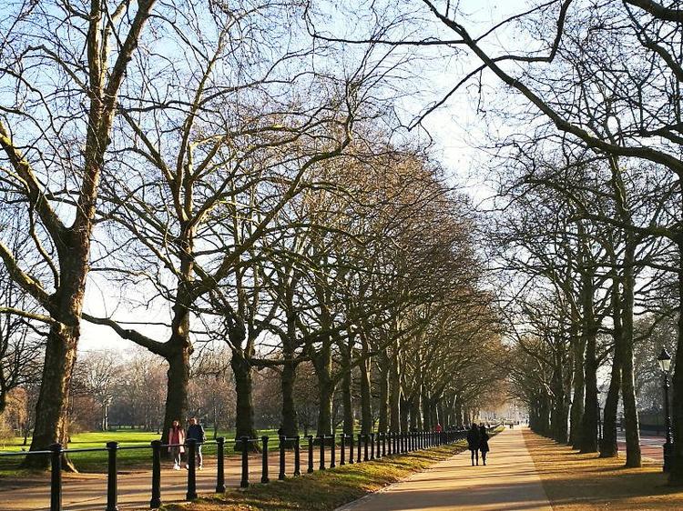 London Royal Parks Run