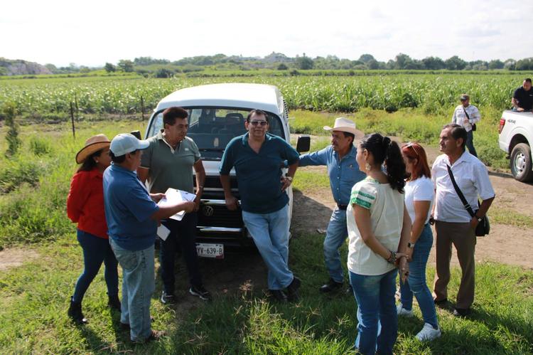 Yautepec repara caminos rurales para rescatar el traslado de cosechas locales