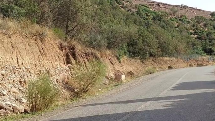 ظهور عظام بشرية تفضح إهمال مقبرة بجماعة تغدوين بإقليم الحوز