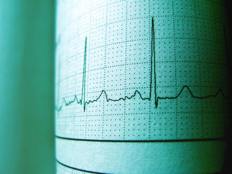 LOS SIGNOS VITALES DE UN DISCÍPULO