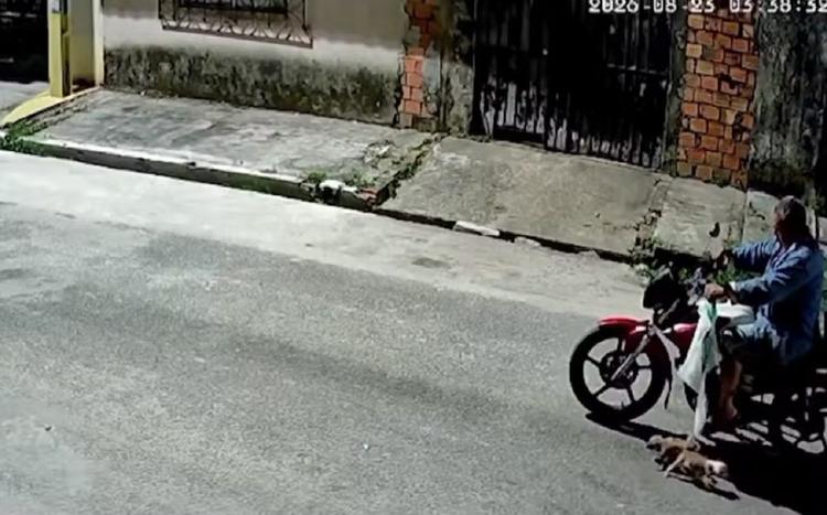 VÍDEO: homem é flagrado abandonando filhotes de cachorro no meio da rua em Belém