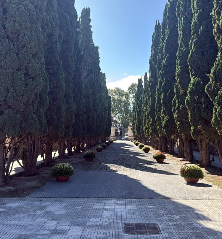 Cimitero comunale curato e accogliente per la commemorazione dei defunti: attivi i servizi per i visitatori
