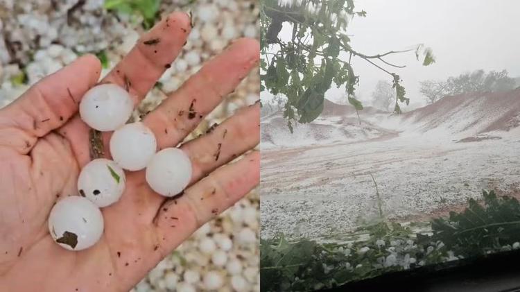 VÍDEO: Granizo transforma vegetação em 'tapete de gelo' na zona rural de MG