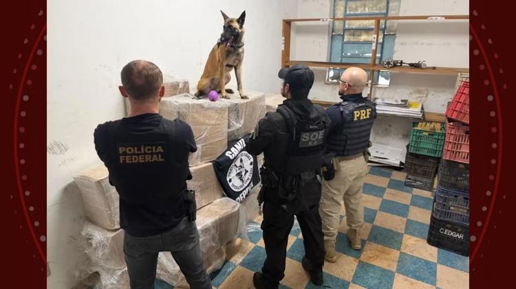 Motorista fica nervoso em abordagem e polícia descobre quase uma tonelada de maconha em caminhão, no Paraná