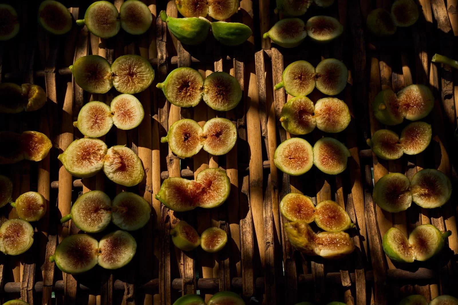 “Ficus in Tabula 2026” ad Ottati: il fico Dottato tra gusto, tradizione e futuro delle aree interne