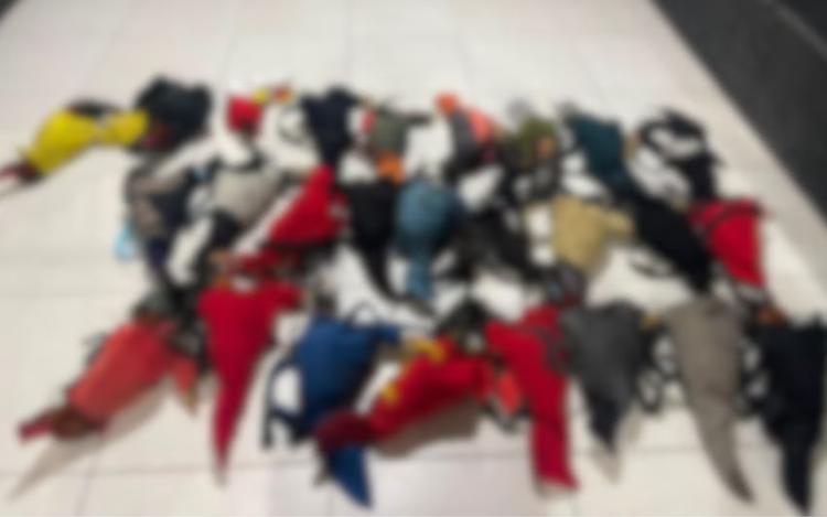 Rinha de galos é encerrada e homem é preso por maus-tratos contra animais em Neópolis