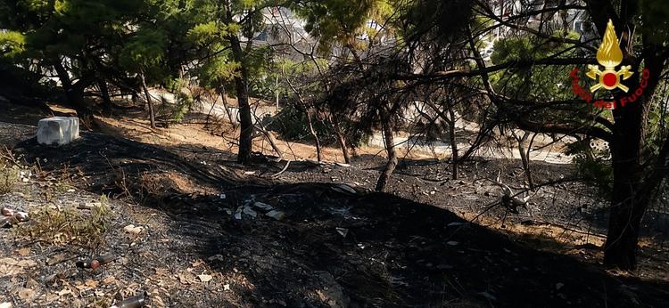 Canosa, brucia vegetazione ai piedi del Castello: in fumo una superficie di un ettaro