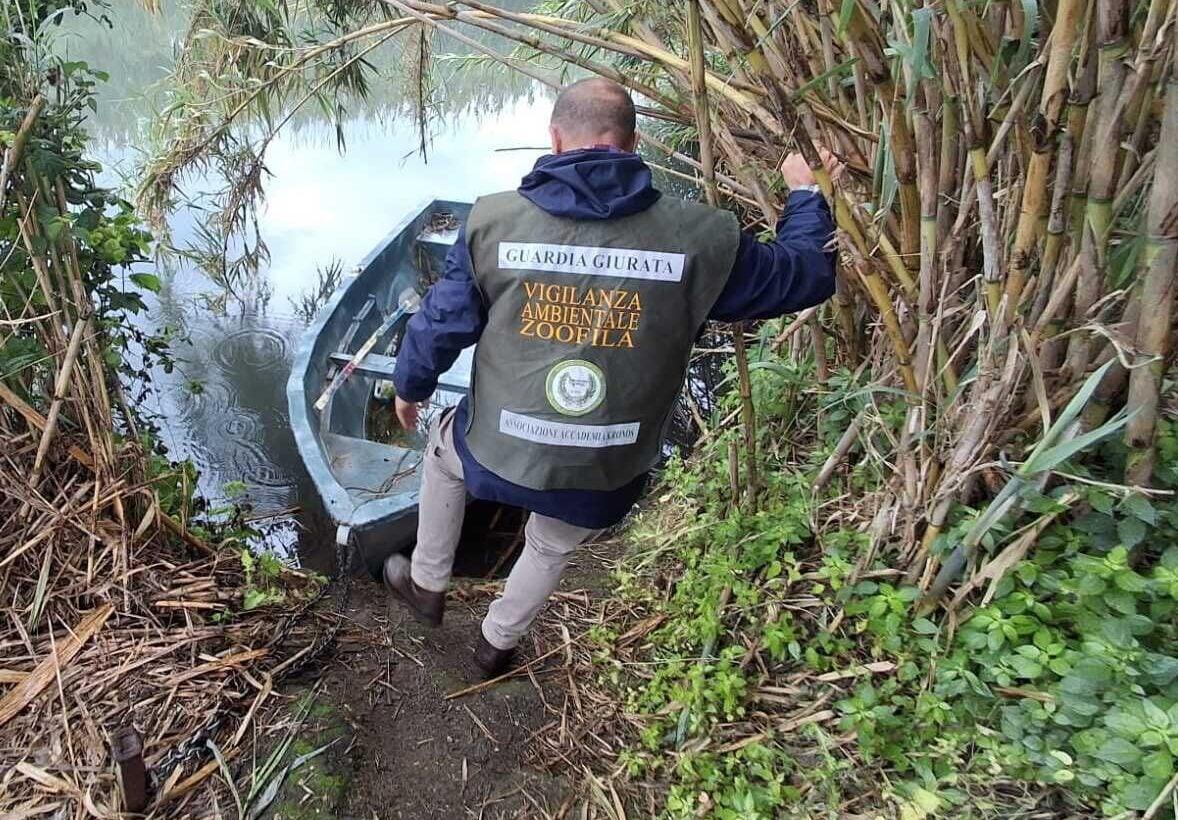 Blitz contro la pesca di frodo nel Sele: quattro denunce e maxi sequestro in area di riserva integrale