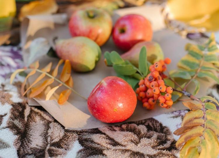 Apple Days, apple activities, things to do with Apples, apples