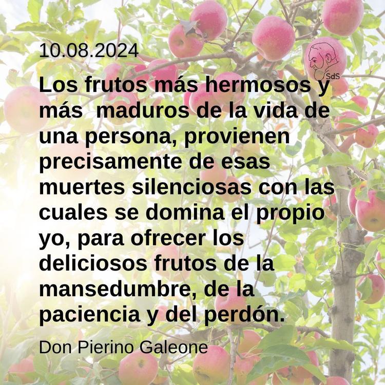 10.08.2024
Los frutos más hermosos y más  maduros de la vida de una persona, provienen precisamente de esas muertes silenciosas con las cuales se domina el propio yo, para ofrecer los deliciosos frutos de la mansedumbre, de la paciencia y del perdón.

Padre Pierino Galeone