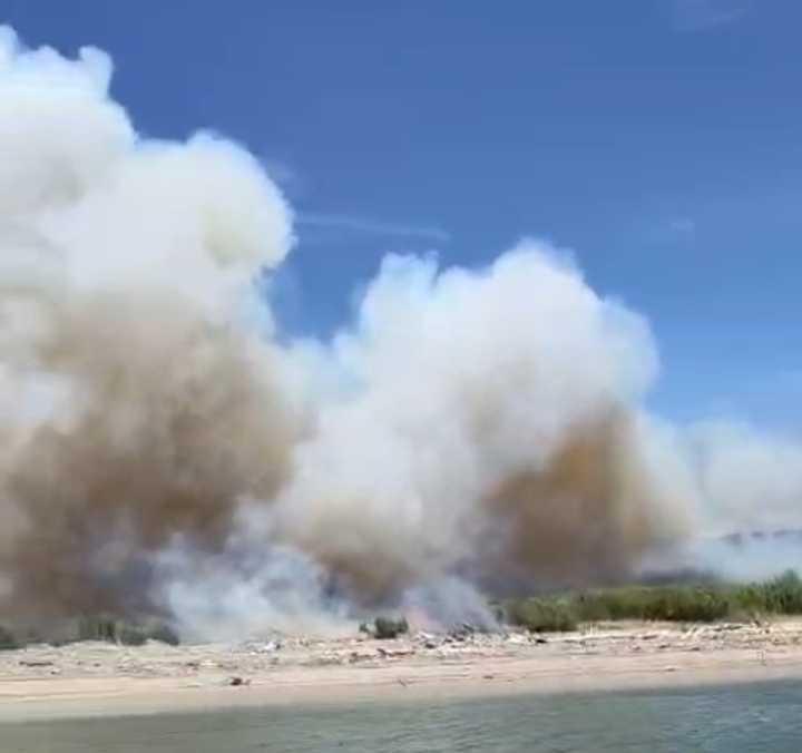 Incendio tra Eboli e Capaccio: l’Ente Riserve Foce Sele-Tanagro, Monti Eremita-Marzano chiede tavolo tecnico urgente alla Regione Campania