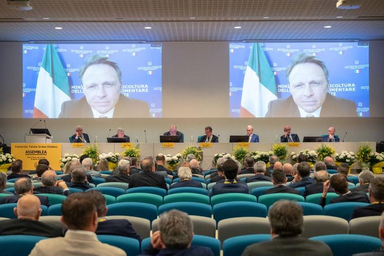 Grana Padano DOP, consumi ed export in crescita All’estero va oltre il 50% della produzione