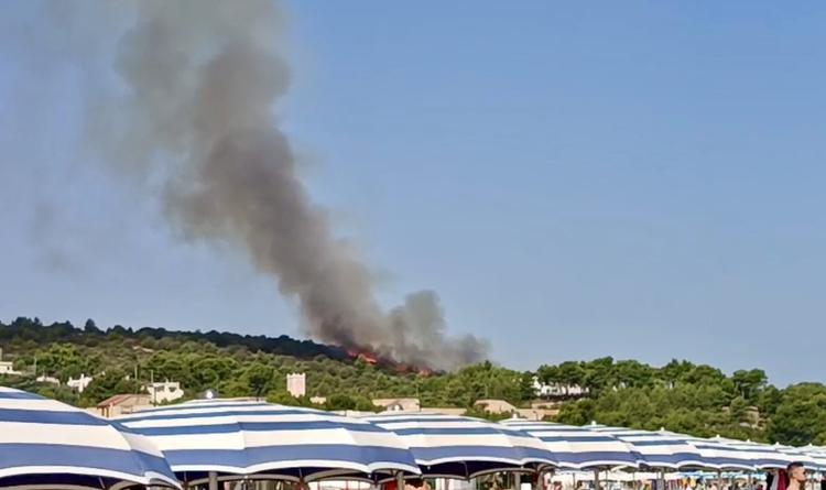 Incendio alle porte di Vieste, evacuate circa cento persone