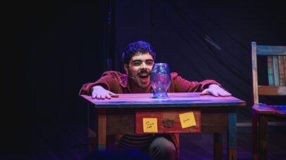 ‘Donatello’ entra em suas últimas semanas em cartaz