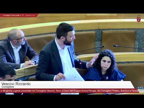 Consiglio Comunale n. 17