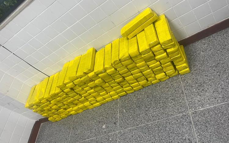 Mais de 180 tabletes de maconha são apreendidos dentro de freezer na Bahia