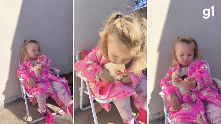 Entre galinhas, ovelhas e patos: conheça Bia, a menina de 2 anos que cresce cercada de bichos e viraliza com cenas do dia a dia