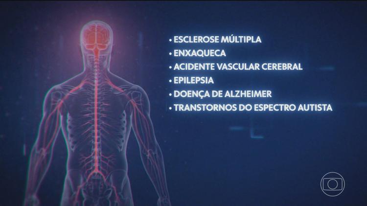 Quase metade da população das Américas convive com pelo menos uma doença neurológica, aponta relatório