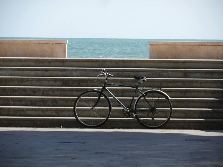 Viaggiare pedalando: da moda ambientalista a turismo alternativo