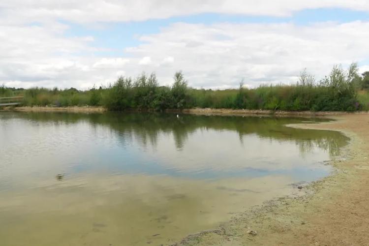 "Tout est grillé, on se croirait en Provence" : baignade interdite tout l'été dans ce lac très fréquenté, une situation inédite depuis 50 ans