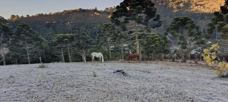 Geada cobre carros e pinta de branco a paisagem em Campos do Jordão, SP