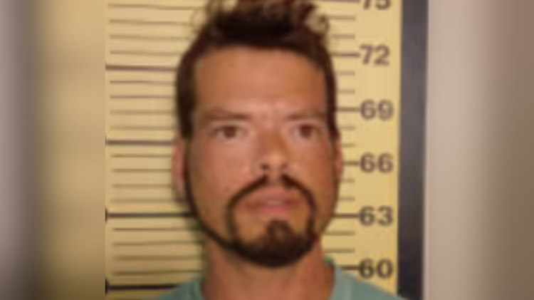 Delivery driver accused of throwing cash register at Taco Bell worker in Madison
