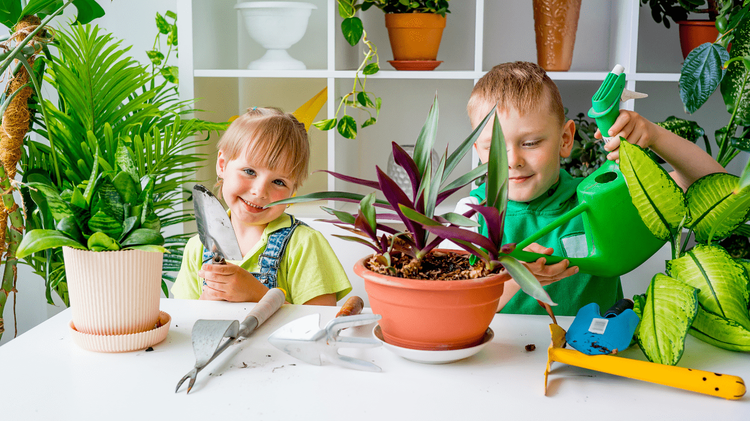 Des Moines Garden Centers