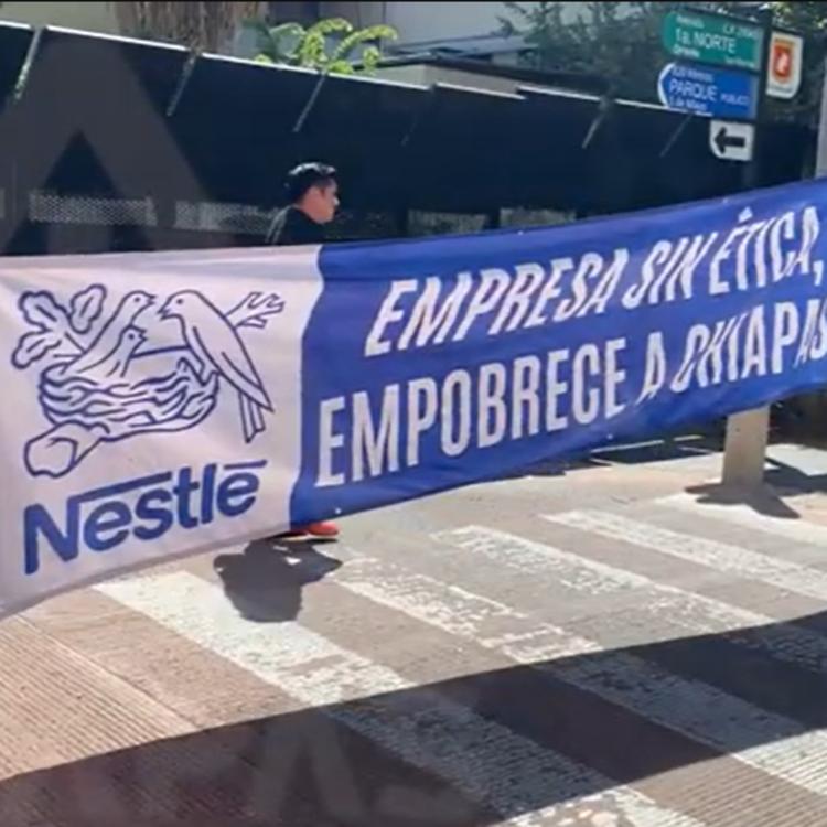 Nestlé paga el café de Chiapas en 30 y vende en 600 el kilo