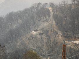 Algeria in fiamme, decine di vittime. Padre Cantal: “Non siamo onnipotenti e il creato è fragile”