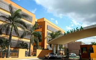 Anvisa aprova segundo medicamento genérico de semaglutida