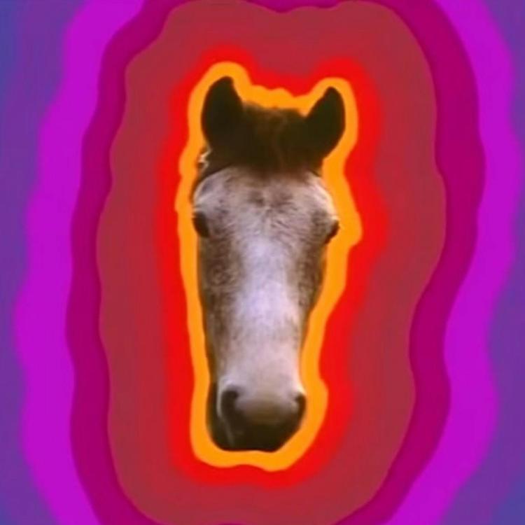 The Horse is on Acid