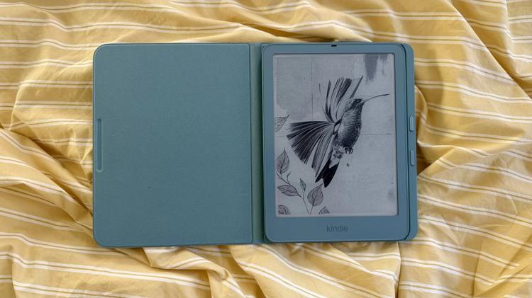 The  Kindle Paperwhite Signature Edition and Page Turn Cover.