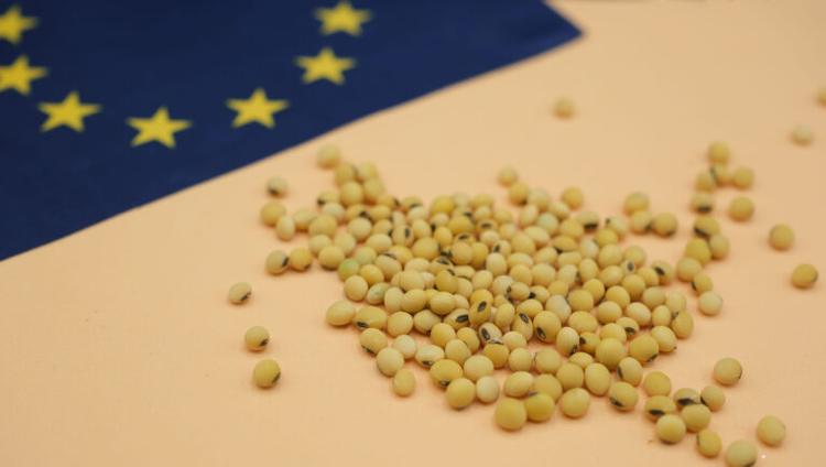 After the NGT Regulation, Time to Rationalise the GMO Directive