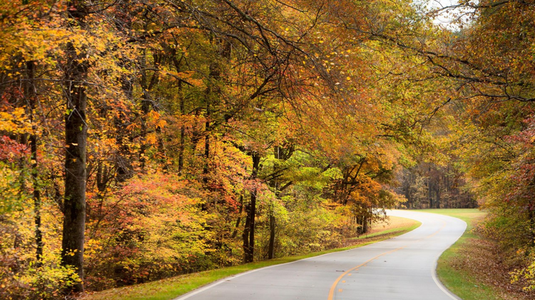 Fall in Mississippi to be hotter than usual, NOAA predicts