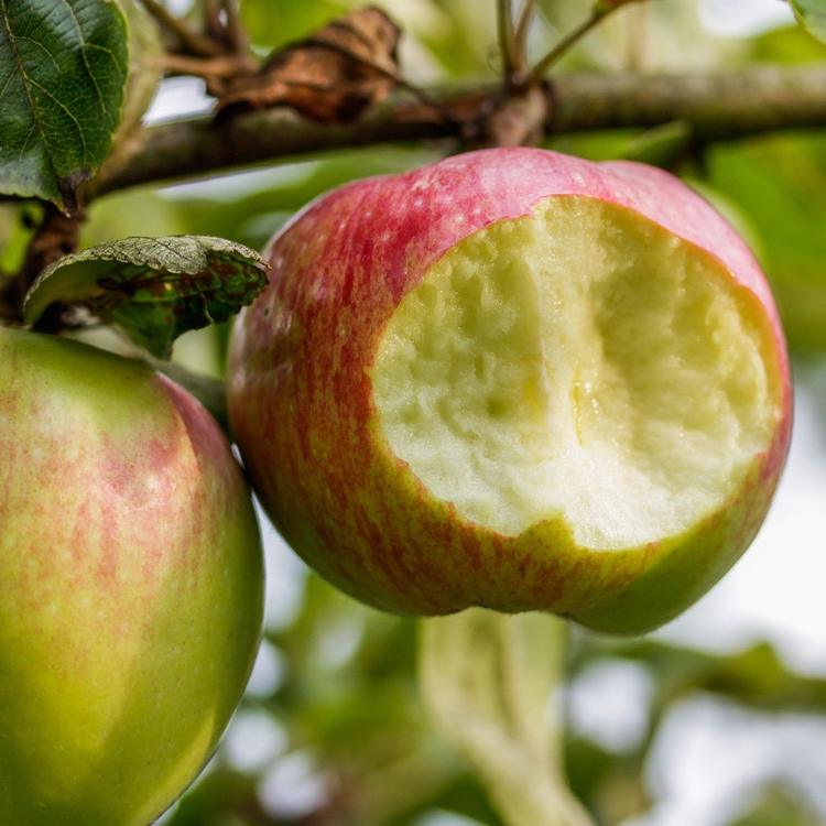 The Desecration of Man, Part 2