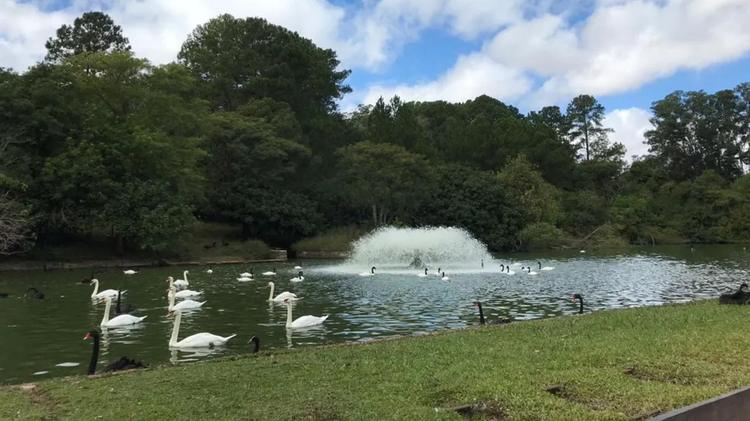 Zoológico de Sapucaia do Sul suspende visitas após morte de 15 animais; causa é investigada
