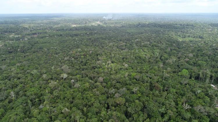 Amazonas registra aumento de 20% nos focos de calor em agosto; Apuí concentra 34% dos registros