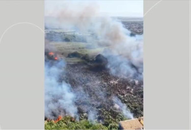 Vídeo mostra incêndio em área de mata em Tamoios