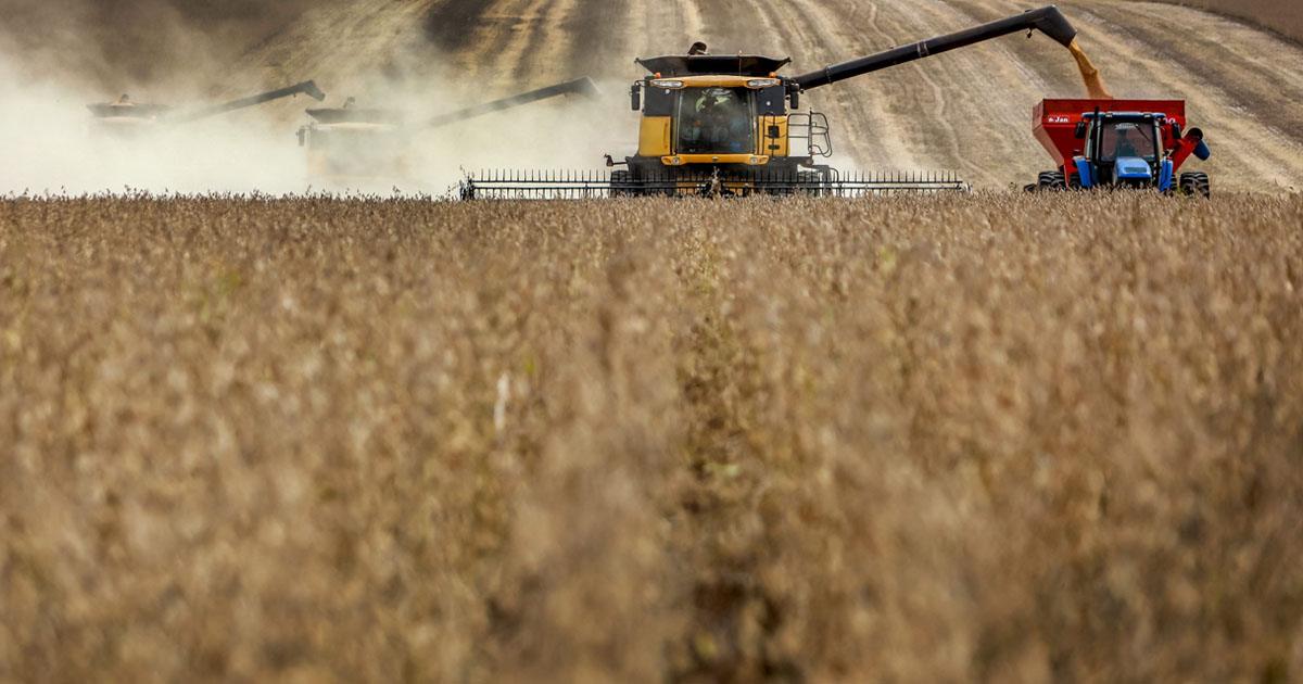 Produção de soja deve ficar estável na safra 2026/27: ‘menor crescimento em 30 anos’, diz consultoria