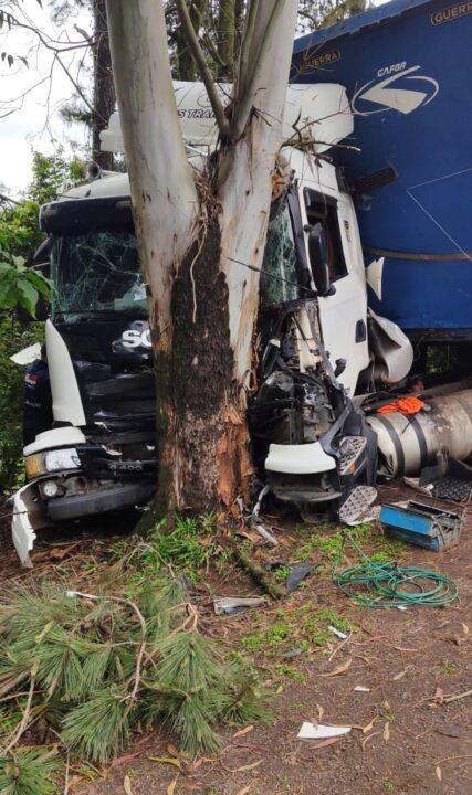 Carreta colide em árvore na BR 158 em Panambi