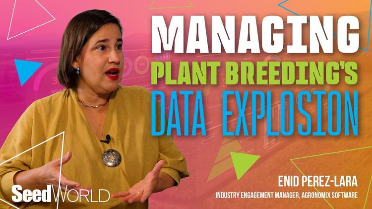 Data Abundance Is Reshaping Plant Breeding
