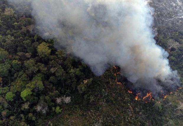 Após recorde, Amazônia registra menor área queimada de série histórica em 2025