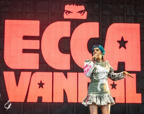 Ecca Vandal, Eurockéennes 26, Benoît GILBERT