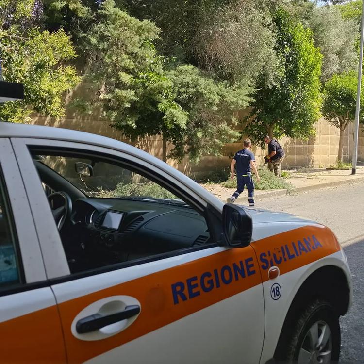 A seguito delle recenti e intense precipitazioni, il nostro gruppo di Protezione Civile è intervenuto per mettere in sic...