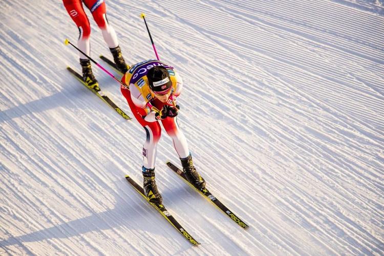 Ski de fond, biathlon , combiné nordique, saut à ski