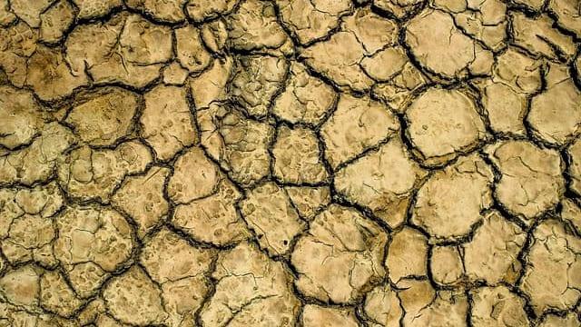 Hérault : la sécheresse s’aggrave, de nouvelles restrictions de l'usage de l'eau annoncées