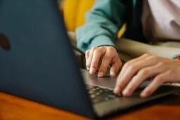 Microsoft Visual Studio Professional 2026 + The Premium Learn to Code Certification Bundle