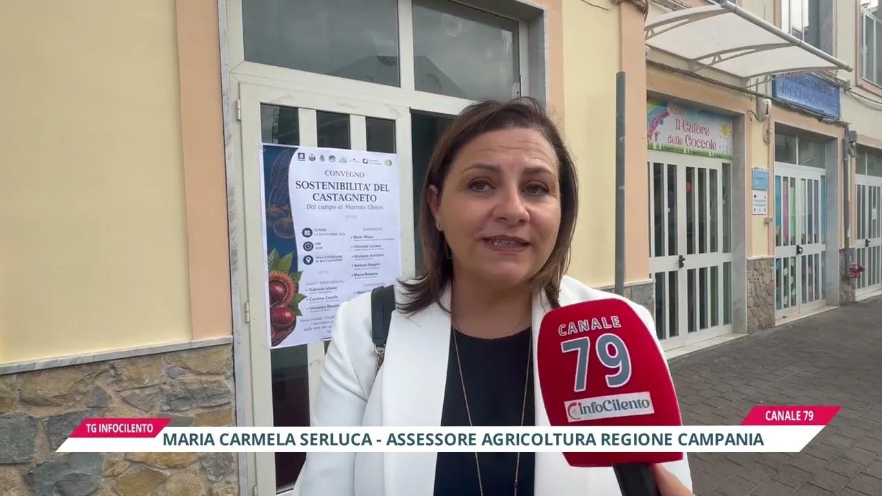 Siccità nel Cilento: i Comuni chiedono lo stato di calamità naturale