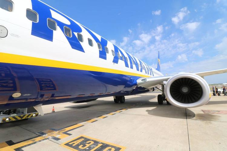 L'aereo per Alicante è invaso dalle zanzare: i passeggeri devono cambiare volo